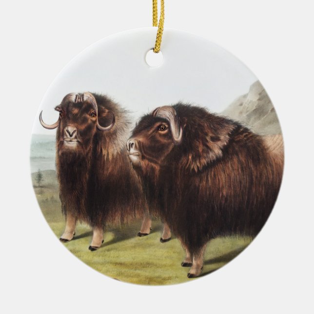 Illustration av mysk (Ovibos moschatus) Julgransprydnad Keramik (Framsidan)