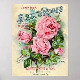 Illustration av nedre katalog för vintage Ro Poster