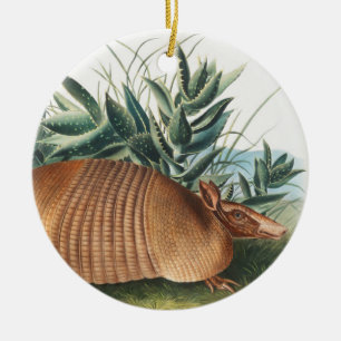 Illustration av niobaserad armadillo (Dasypus Peba Julgransprydnad Keramik