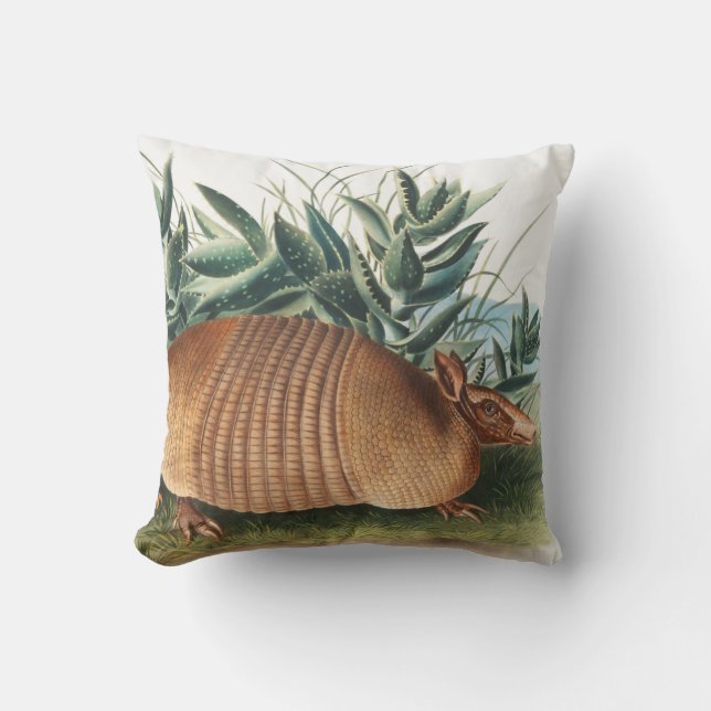 Illustration av niobaserad armadillo (Dasypus Peba Kudde (Framsida)