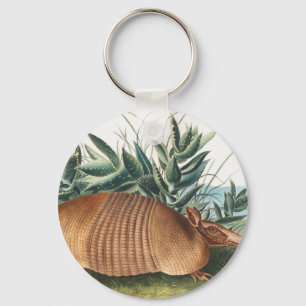 Illustration av niobaserad armadillo (Dasypus Peba Nyckelring