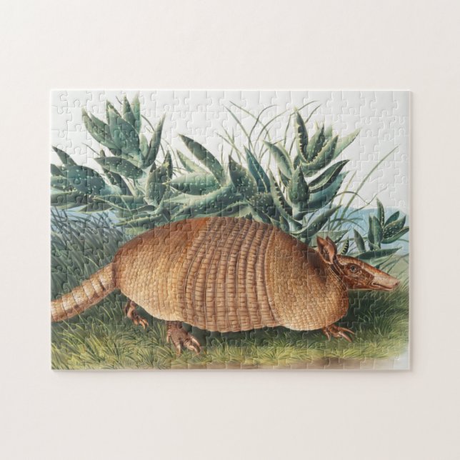 Illustration av niobaserad armadillo (Dasypus Peba Pussel (Horisontell)