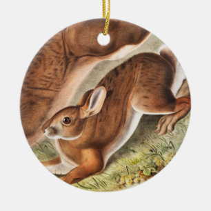 Illustration av nordhare (Lepus Americanus) Julgransprydnad Keramik