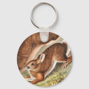 Illustration av nordhare (Lepus Americanus) Nyckelring