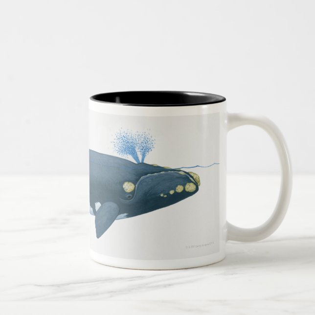 Illustration av North Pacific det högra val Två-Tonad Mugg (Höger)