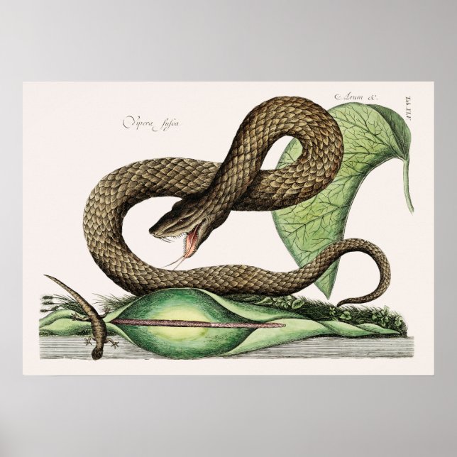 Illustration av ögonblicksbild av vintage poster (Framsidan)