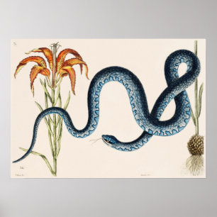 Illustration av ögonblicksbild av Vintage Poster