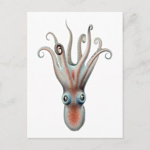 Illustration av oktopus Vintage Vykort