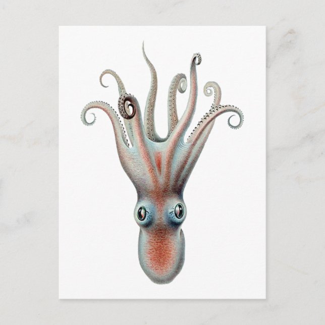 Illustration av oktopus Vintage Vykort (Framsida)