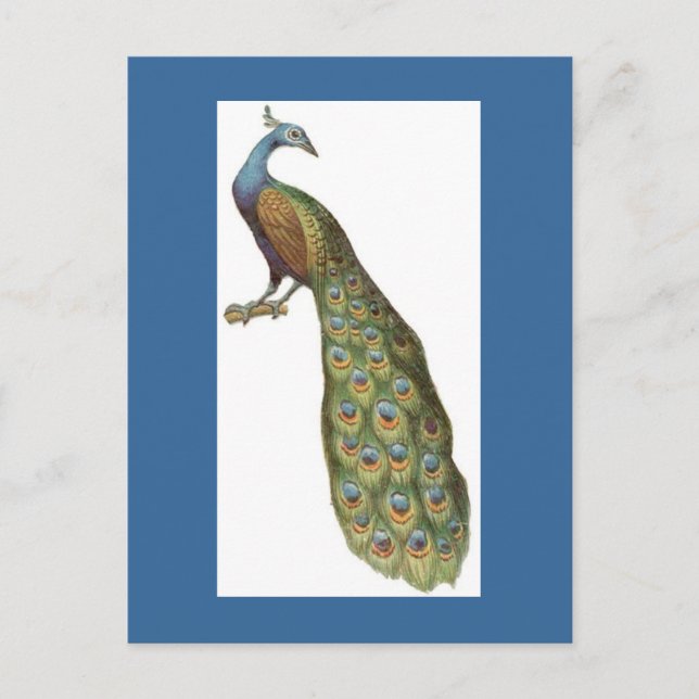 Illustration av påk vykort (Framsida)