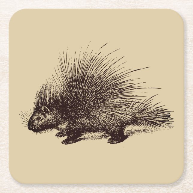 illustration av porcupins Vintage Underlägg Papper Kvadrat (Framsidan)