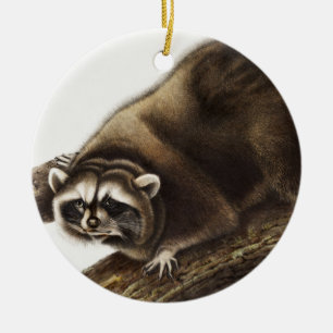 Illustration av Raccoon (Procyon lotor) Julgransprydnad Keramik