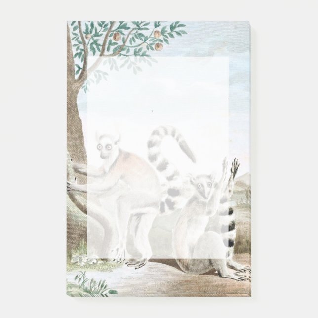 Illustration av Ring-Tails Lemurs Post-it Block (Framsida)