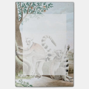 Illustration av Ring-Tails Lemurs Post-it Block