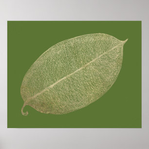 Illustration av rutnät guld Löv Poster