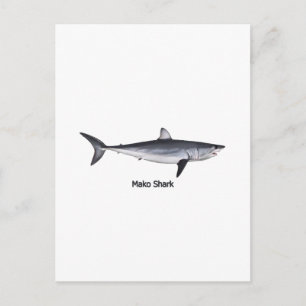 Illustration av Shortfin Mako Shark Vykort