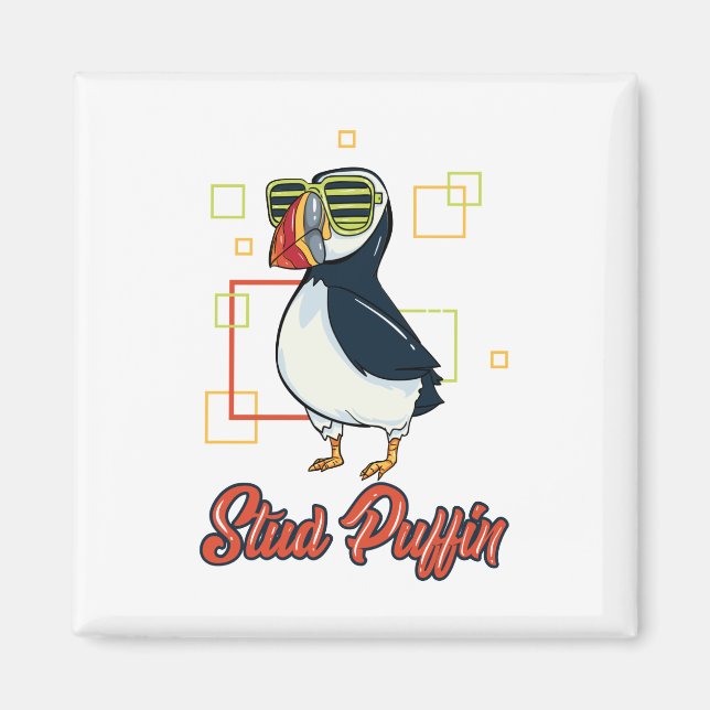 Illustration av sjöfågel med praktfull lunnefågel magnet (Framsidan)