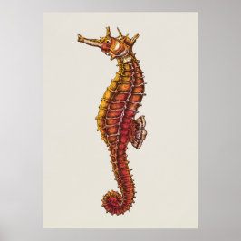 Illustration av sjöhäst poster