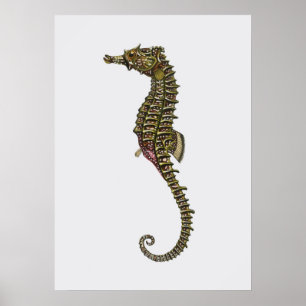 Illustration av sjöhäst poster