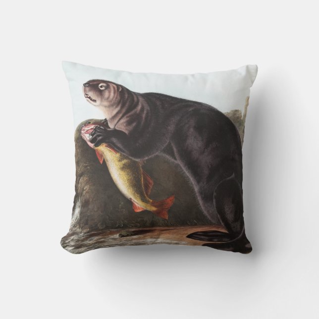 Illustration av sjöutter (Enhydra marina) Kudde (Framsida)
