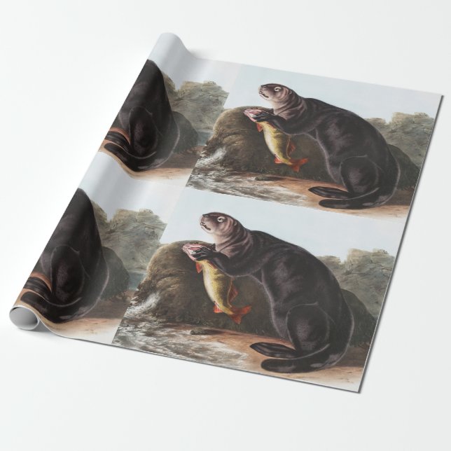 Illustration av sjöutter (Enhydra marina) Presentpapper (Utrullad)