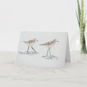 Illustration av skorelina fåglar kort