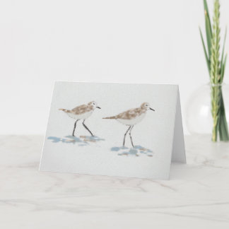 Illustration av skorelina fåglar kort