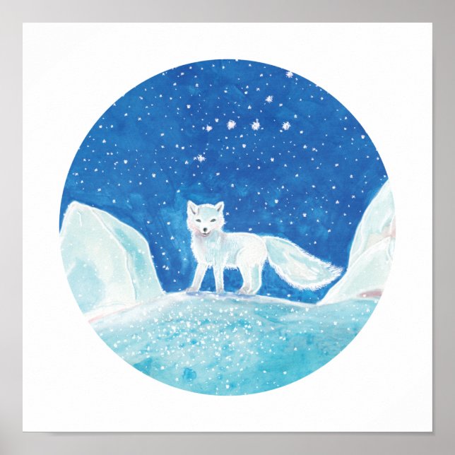 Illustration av småArktisk räv (Vulpes lagopus) Poster (Framsidan)