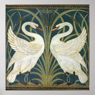 Illustration av svan och Rush och Iris Tapet Poster