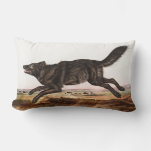 Illustration av svart amerikansk Varg (Canis lupus Lumbarkudde