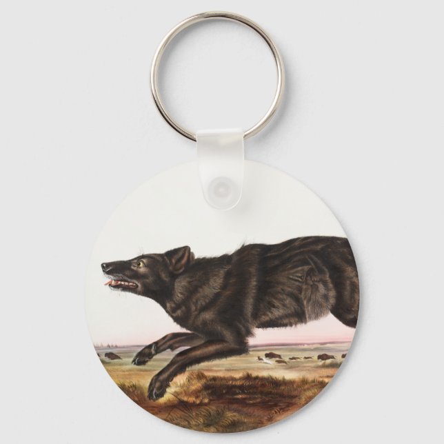 Illustration av svart amerikansk Varg (Canis lupus Nyckelring (Framsida)