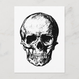 Illustration av svart och vit Vintage Vykort