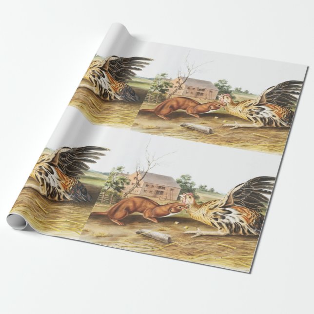 Illustration av Tawny Weasel (Putorius fuscus) Presentpapper (Utrullad)