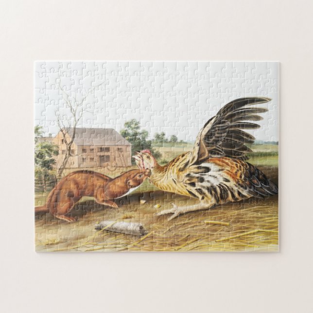Illustration av Tawny Weasel (Putorius fuscus) Pussel (Horisontell)