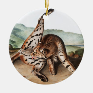 Illustration av Texan Lynx (Lynx rufus var maculat Julgransprydnad Keramik