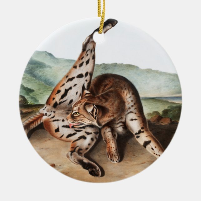 Illustration av Texan Lynx (Lynx rufus var maculat Julgransprydnad Keramik (Framsidan)