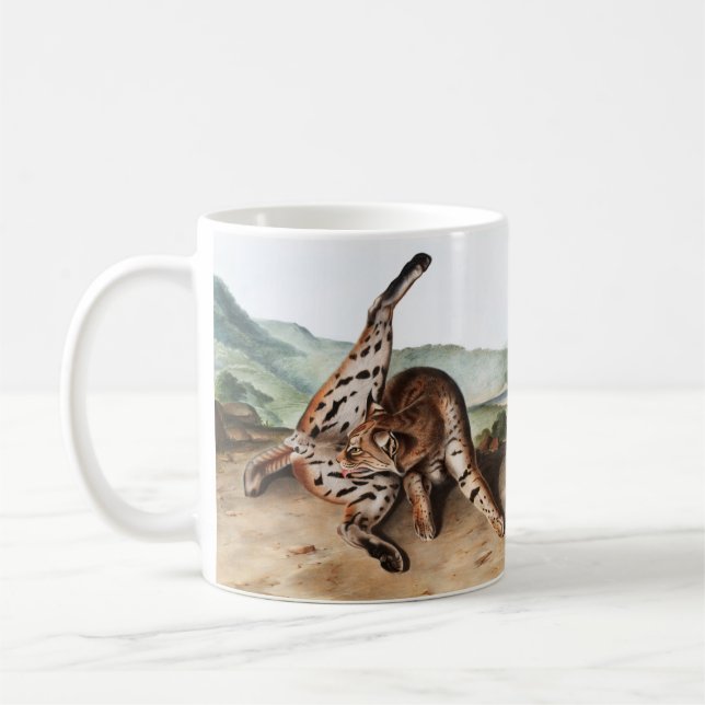 Illustration av Texan Lynx (Lynx rufus var maculat Kaffemugg (Vänster)