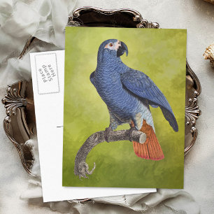 Illustration av Tropical Parrot Vintage Vykort