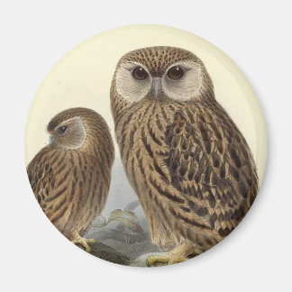 Illustration av Uggla Vintage Magnet