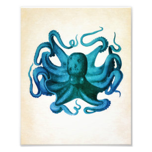 Illustration av vattenfärg, oktopus fototryck