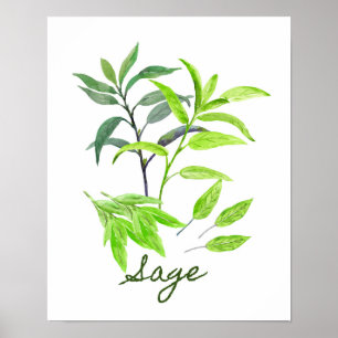 Illustration av vattenfärgssida poster