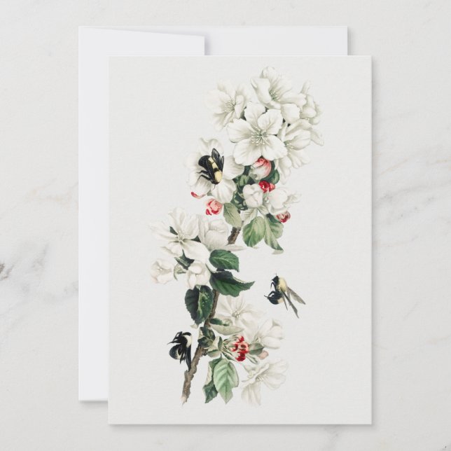 Illustration av vintage Apple-Blommar Inbjudningar (Framsida)