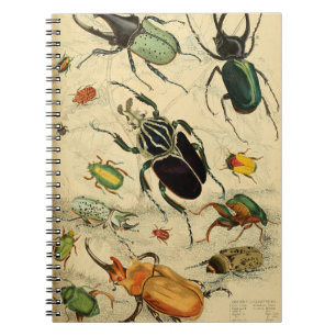 Illustration av vintage Beetles Anteckningsbok