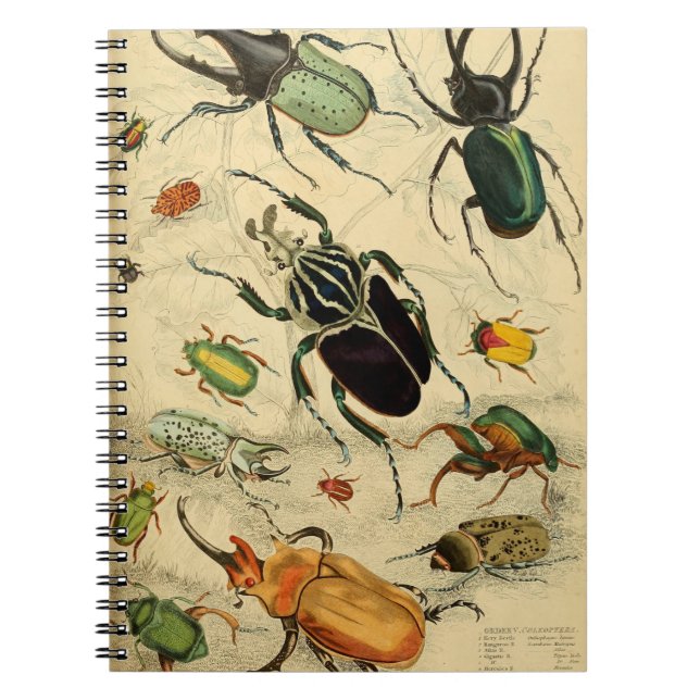 Illustration av vintage Beetles Anteckningsbok (Framsidan)