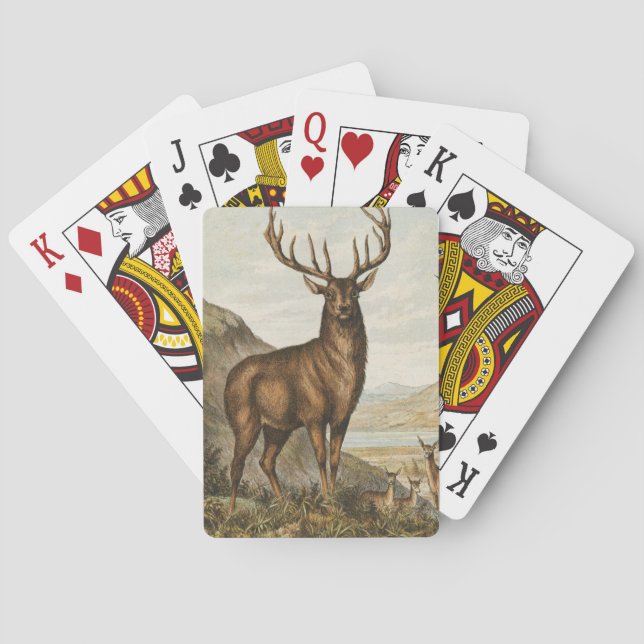 Illustration av vintage Buck Casinokort (Baksidan)