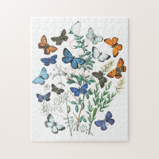 Illustration av vintage Butterflies Pussel (Vertikal)