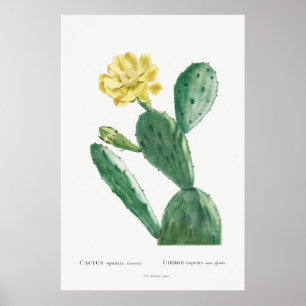 Illustration av vintage Cactus Poster