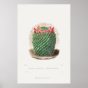 Illustration av vintage Cactus Poster