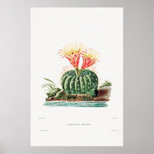Illustration av vintage Cactus Poster