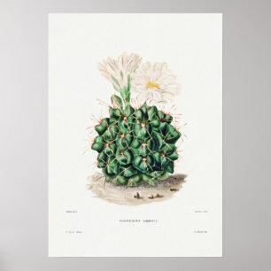 Illustration av vintage Cactus Poster